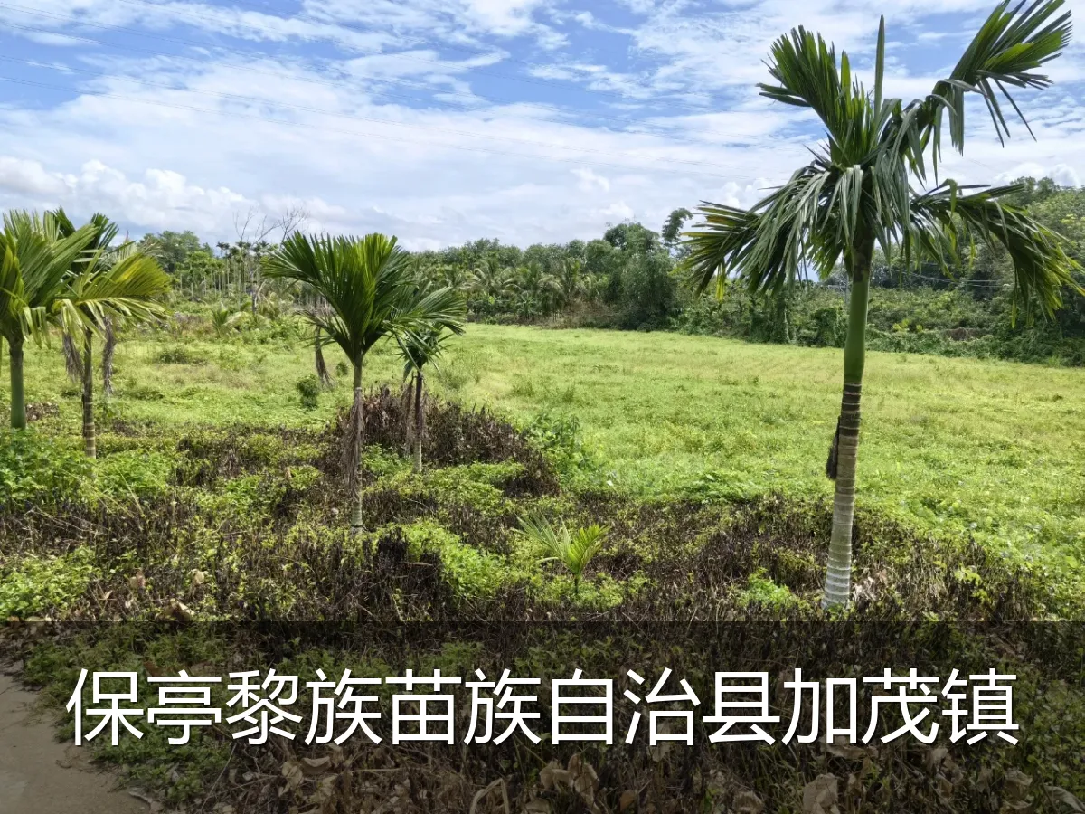保亭黎族苗族自治县加茂镇